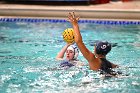 WWPolo @ CC  Wheaton College Women’s Water Polo at Connecticut College. - Photo By: KEITH NORDSTROM : Wheaton, water polo